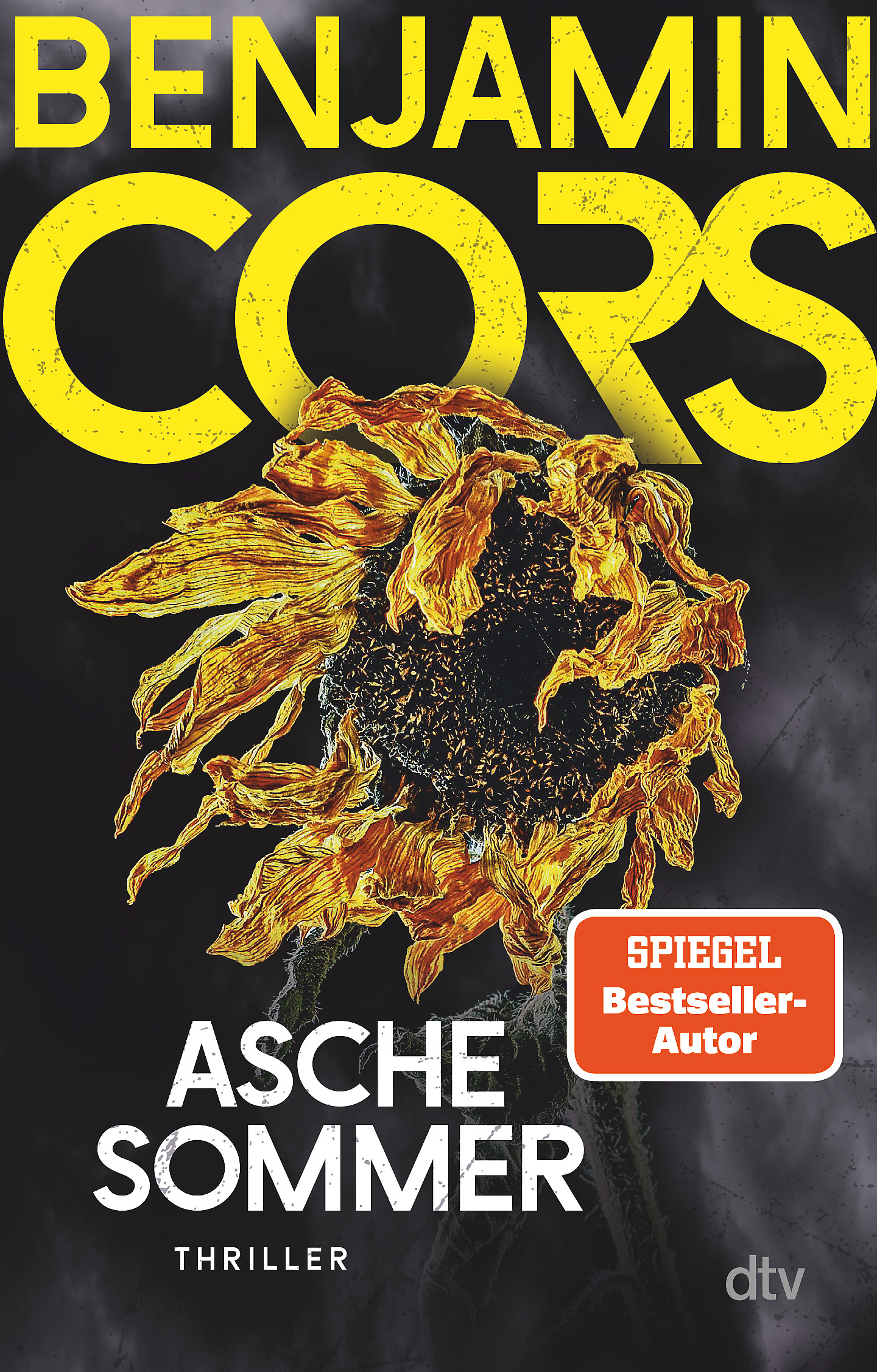 Cover Buch Aschesommer