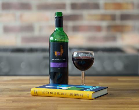 Stimmungsbild Wein mit Buch